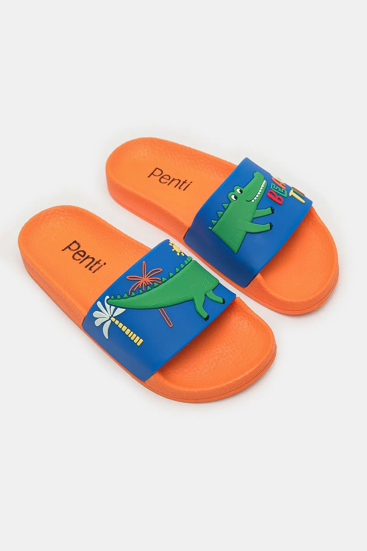 Erkek Çocuk Crocodile Renkli Terlik