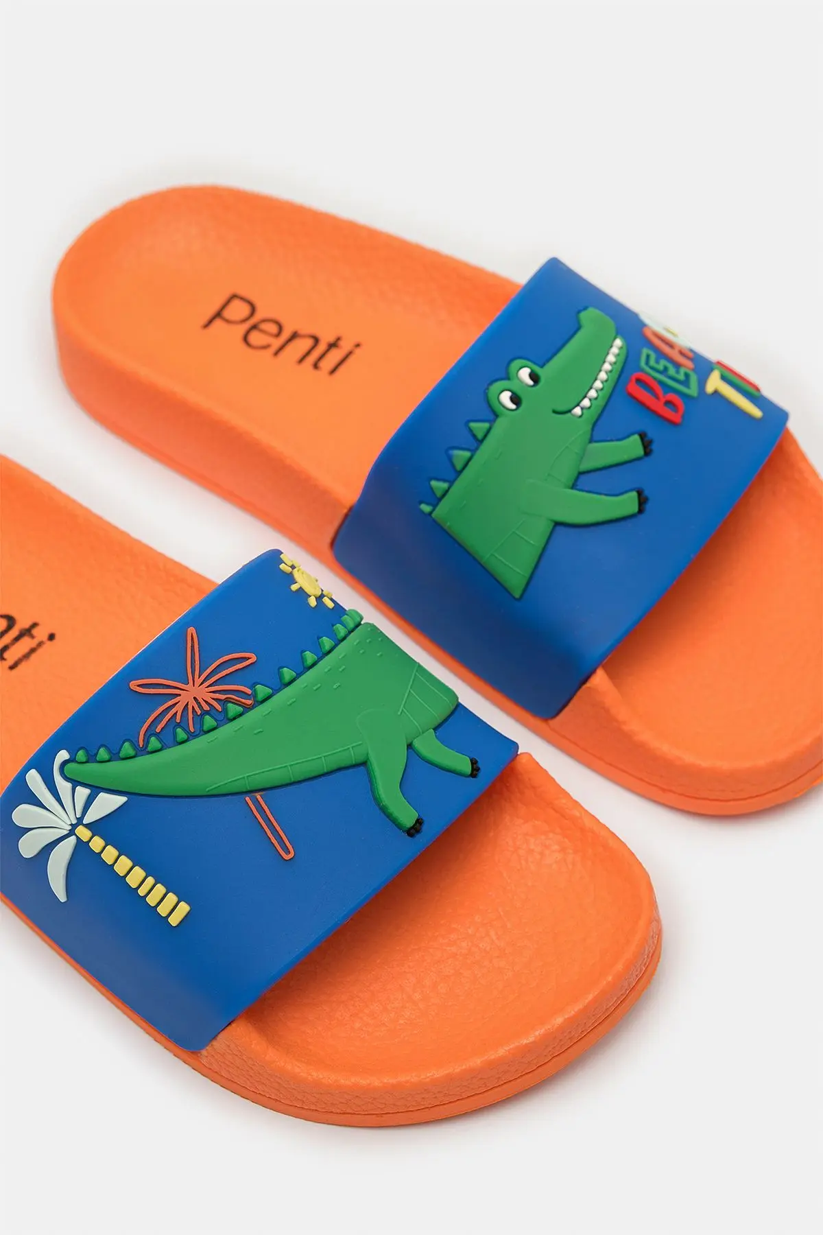 Erkek Çocuk Crocodile Renkli Terlik