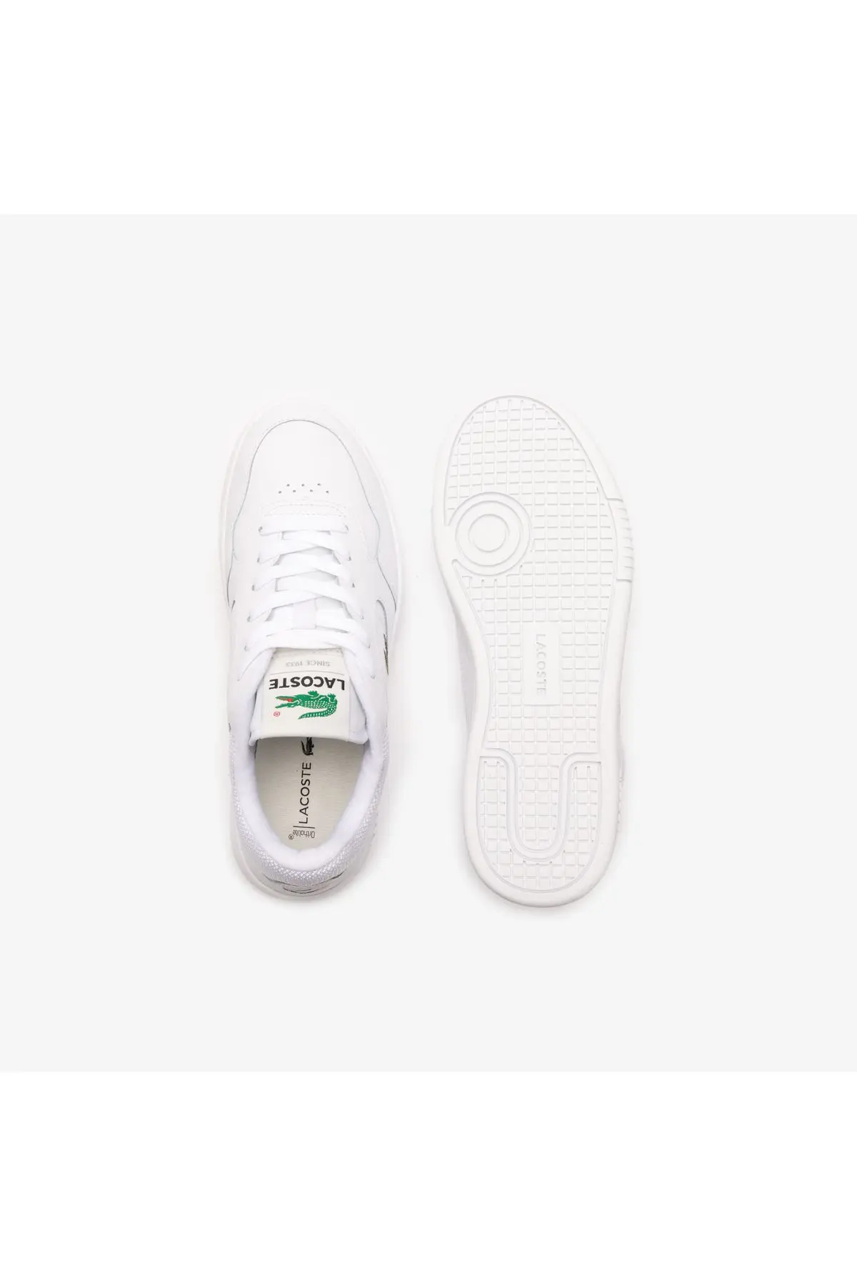 Lineset Kadın Beyaz Sneaker