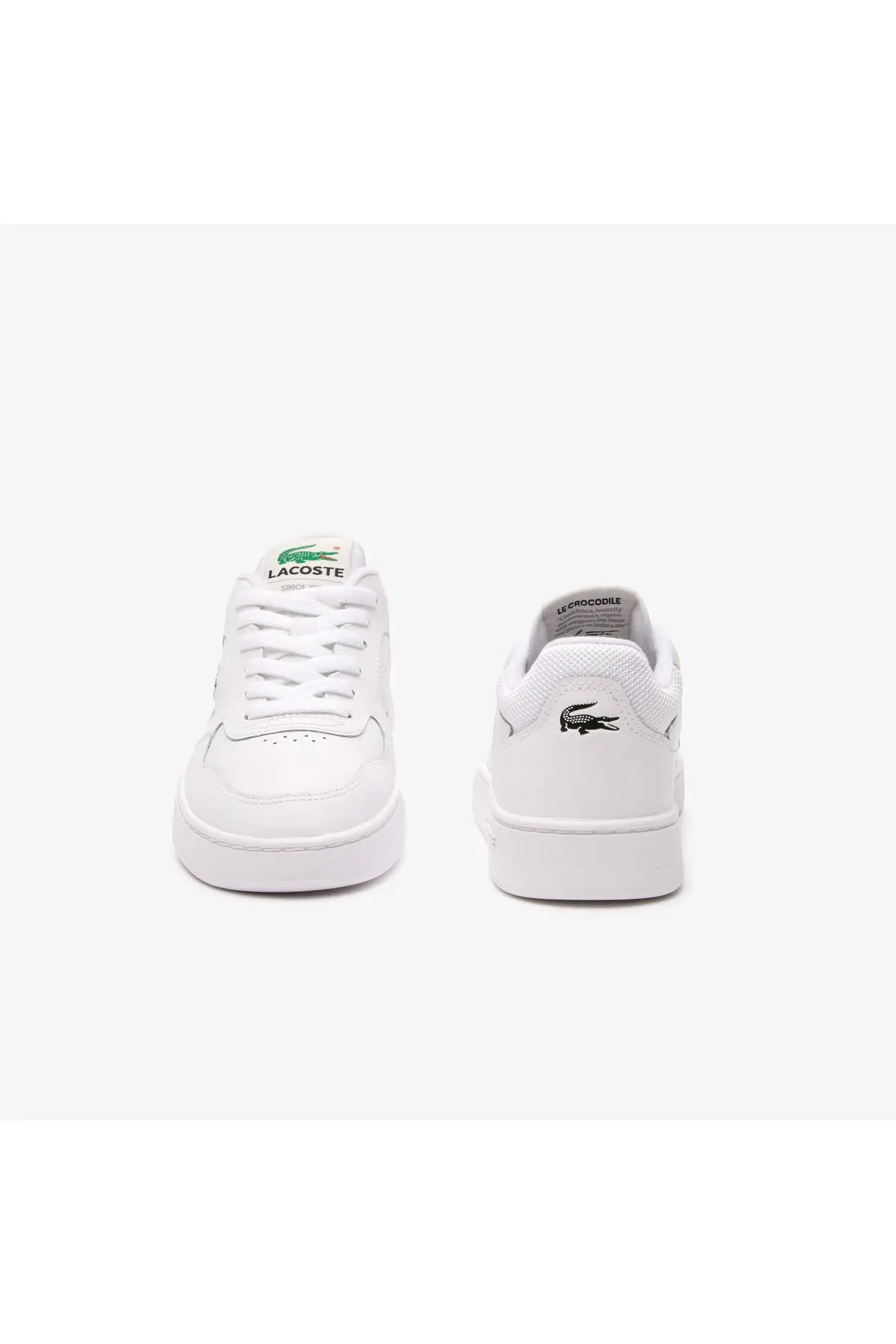 Lineset Kadın Beyaz Sneaker