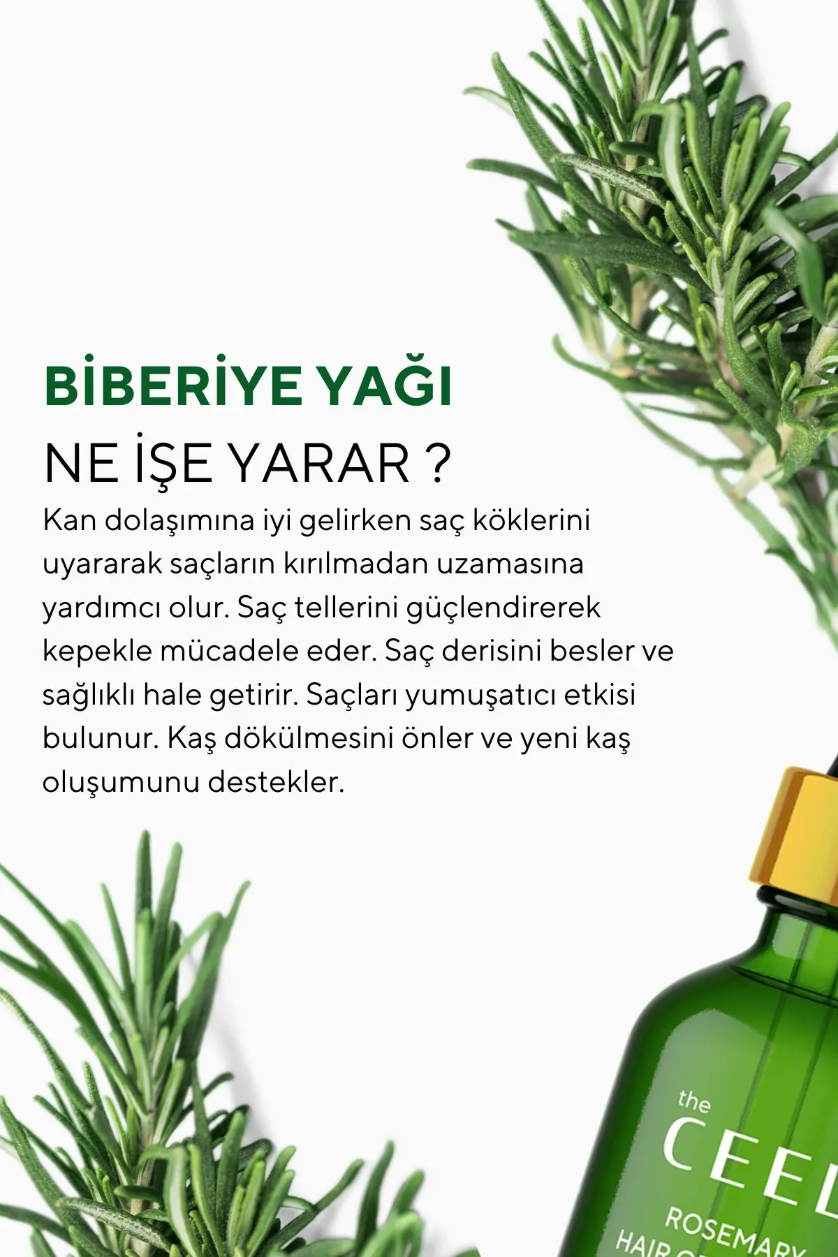 Biberiye Yağı Complexi Saç Dökülmesi ve Yıpranmış Saçlar için Hızlı Saç Uzatan Biotinli Saç Bakımı