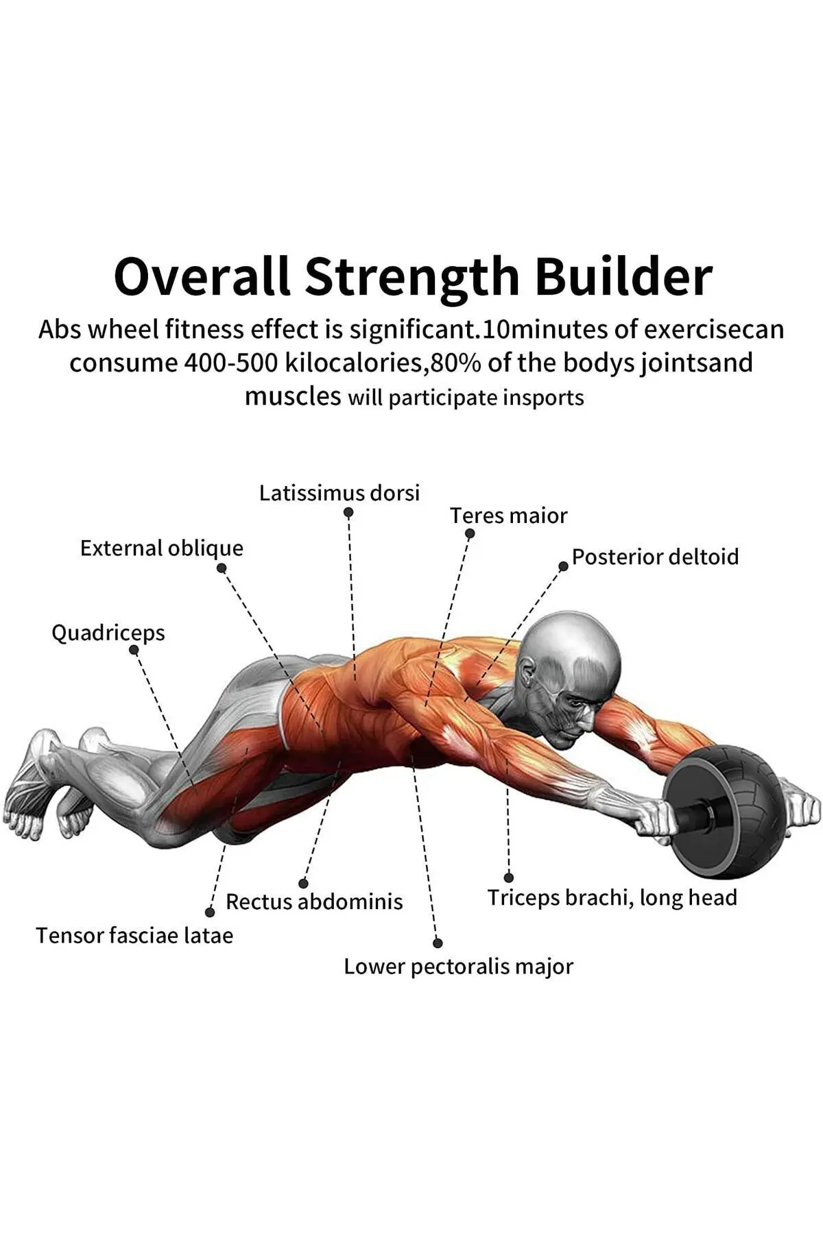 Ab Wheel Roller Egzersiz Tekerleği Profesyonel Ab Wheel Karın Kası Göğüs Şekillendirme Spor Aleti