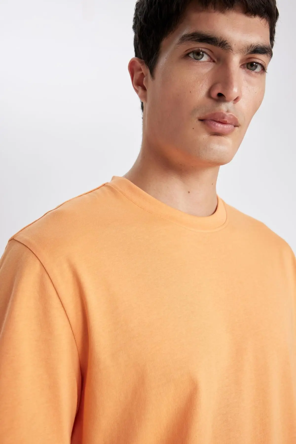New Regular Fit Bisiklet Yaka Basic Kısa Kollu %100 Pamuk Tişört V7699az24sp