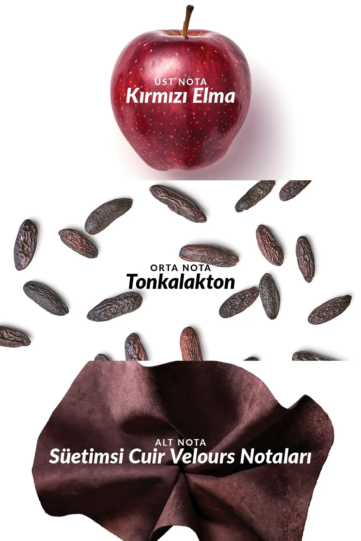 Black Suede Secret Erkek Rollon 50 Ml.