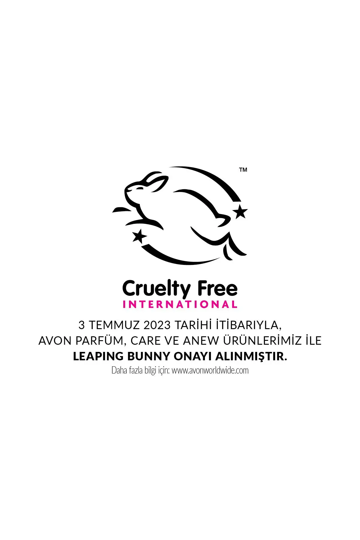 Black Suede Secret Erkek Rollon 50 Ml.