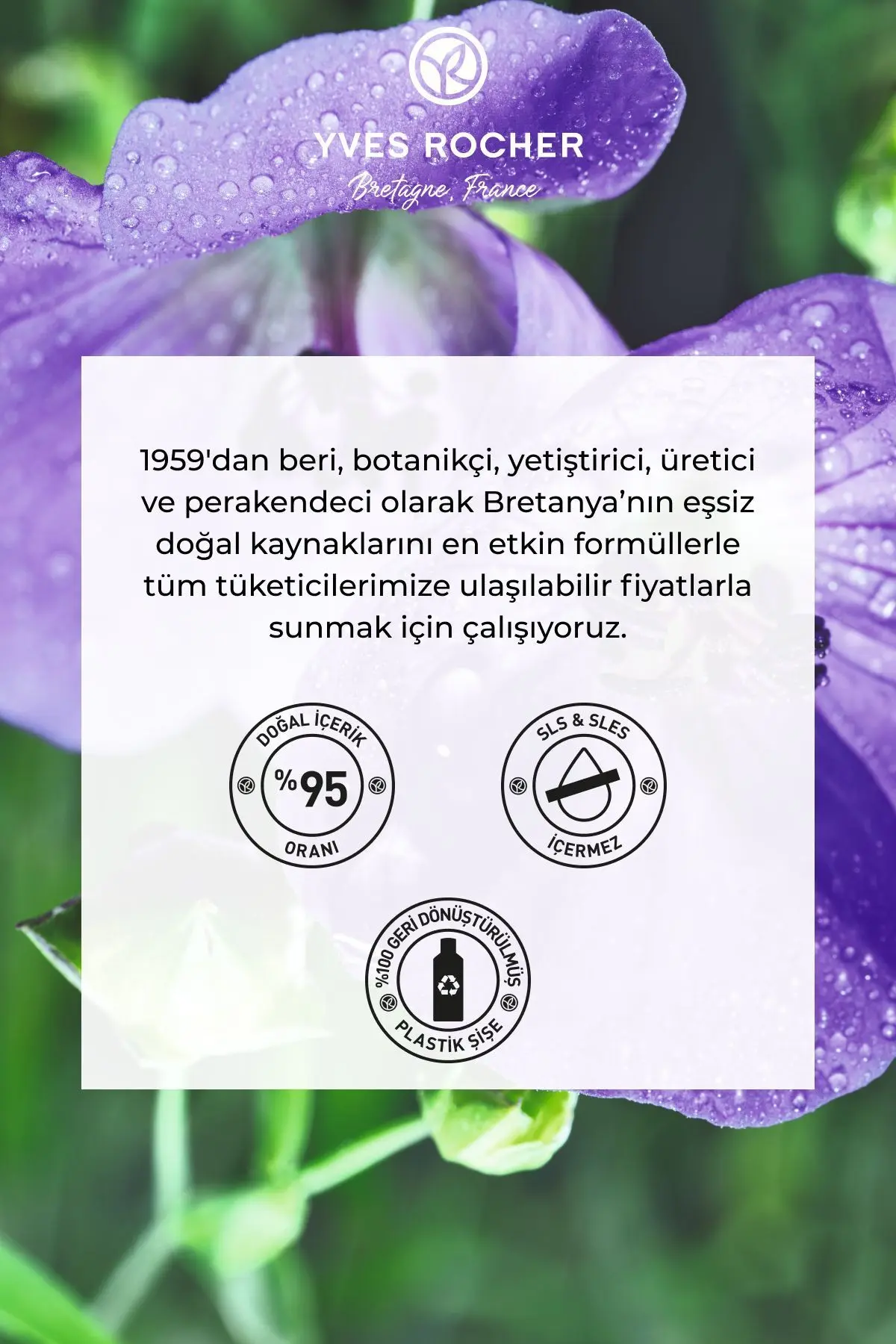 Kıvırcık ve Dalgalı Saçlar İçin (Boucle) Bukle Belirginleştirici Şampuan - Vegan-300 ml