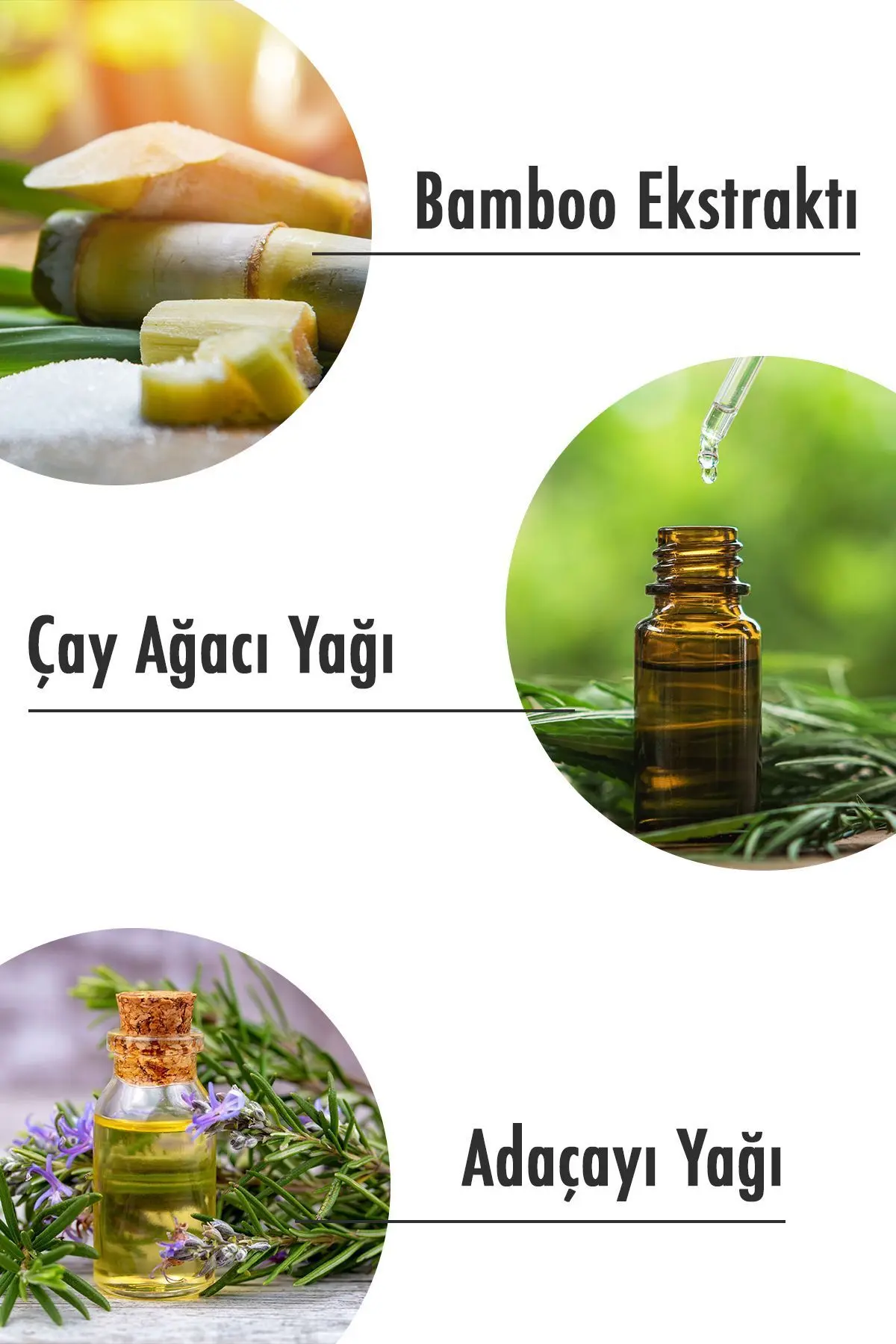 Kepeğe Karşı Etkili Sülfatız Şampuan 400 ML | Normal/Yağlı Saçlar | Sülfatsız,Tuzsuz,Vegan Şampuan