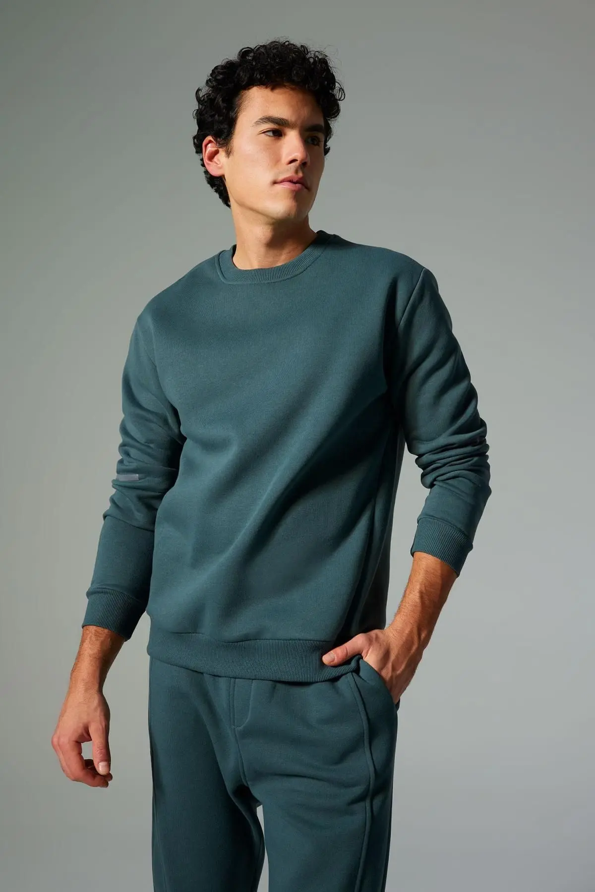Fit Standart Fit Bisiklet Yaka Kalın Sweatshirt Y4531az23au