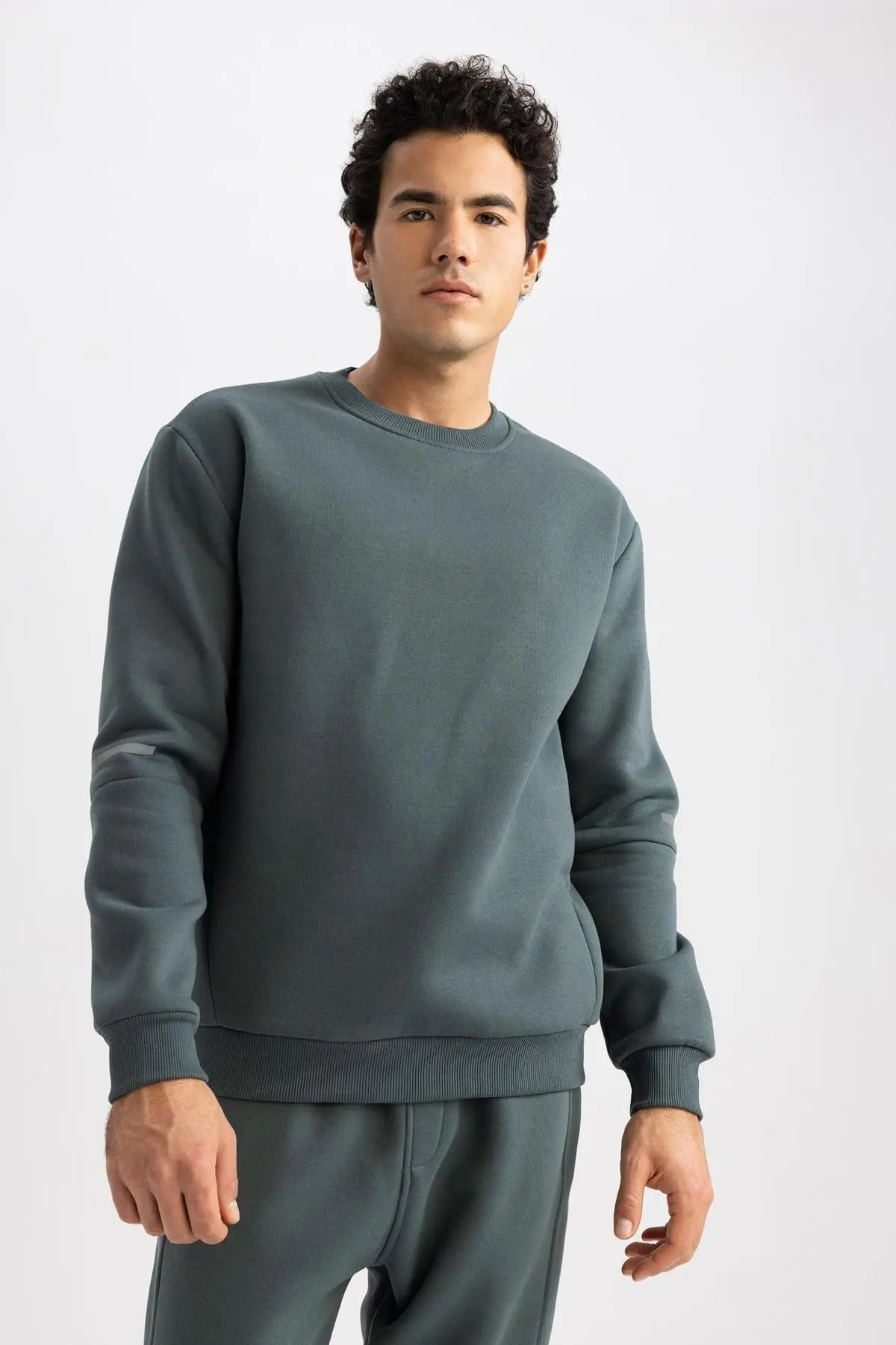 Fit Standart Fit Bisiklet Yaka Kalın Sweatshirt Y4531az23au