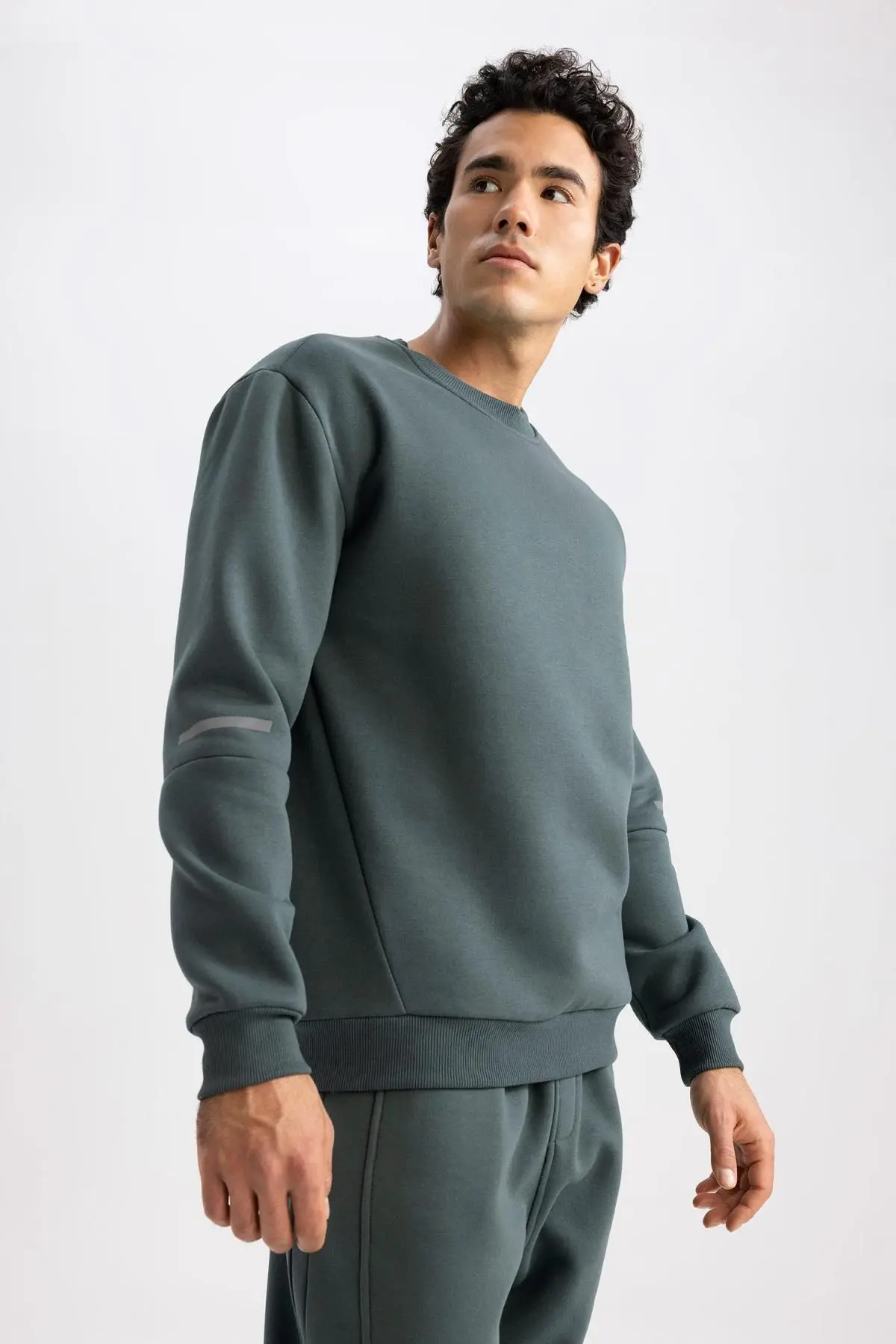Fit Standart Fit Bisiklet Yaka Kalın Sweatshirt Y4531az23au
