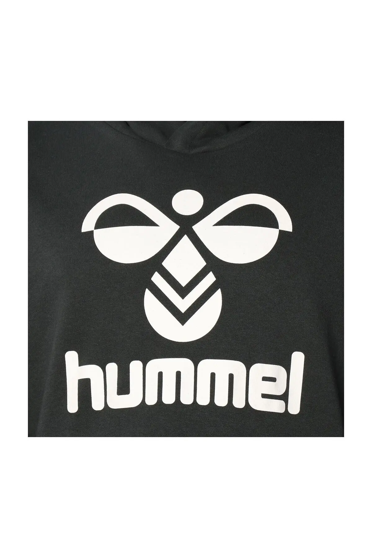 Arus - Erkek Koyu Yeşil Kapüşonlu Sweatshirt