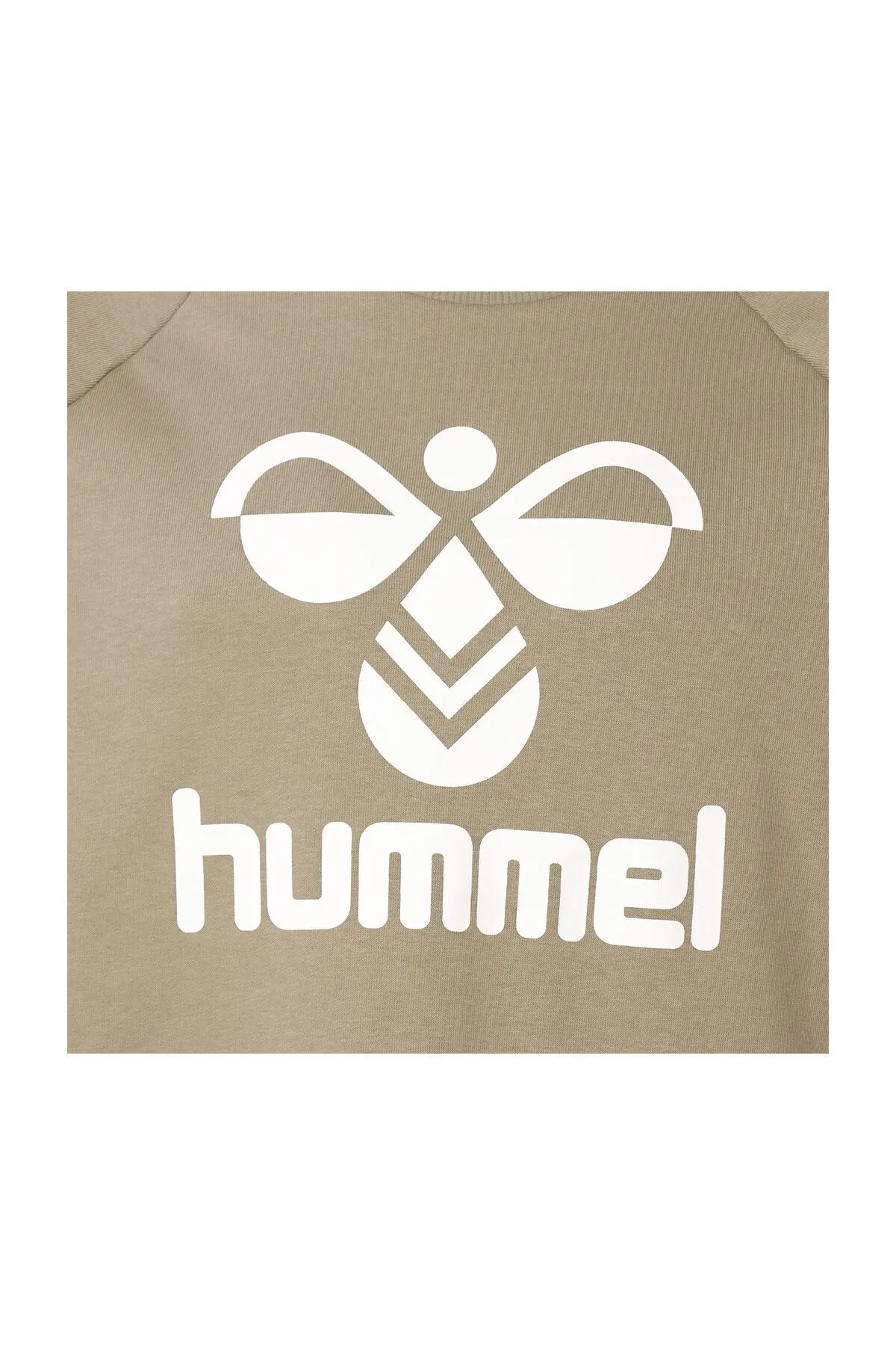 Kopenhang Soluk Yeşil Erkek Sweatshirt