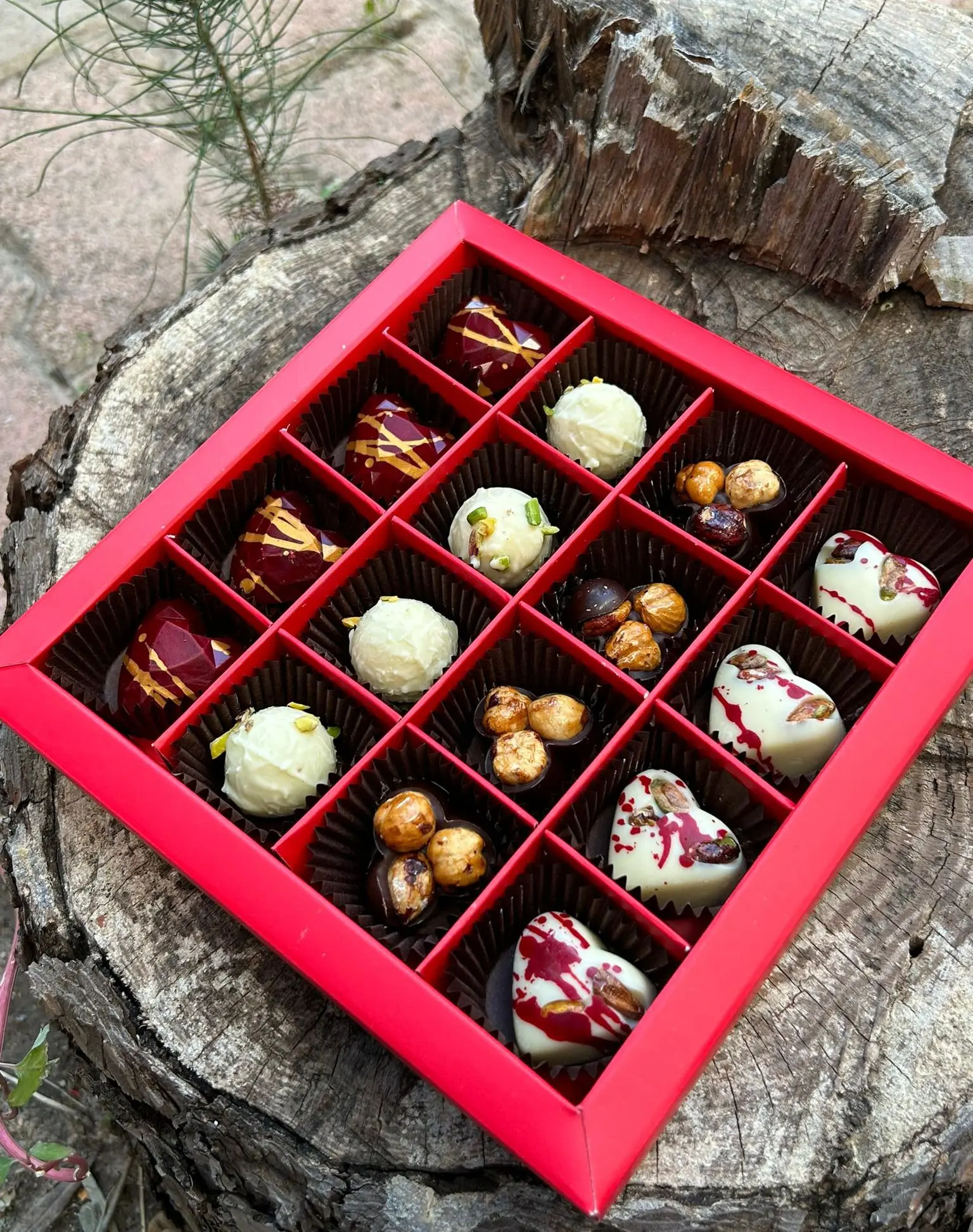 Myra Special Çikolata (500 gr.)